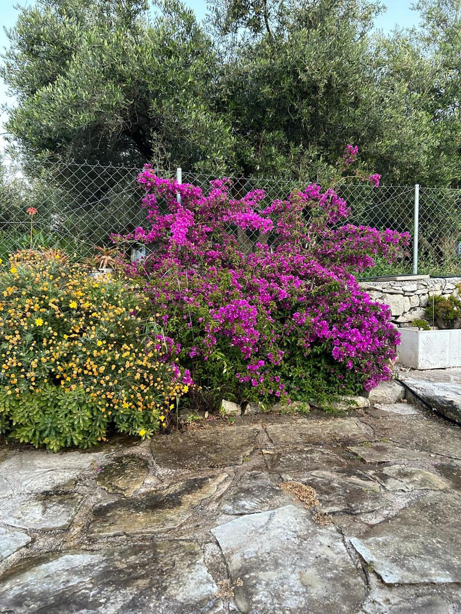 Old Stone Villa In Apokoronas Villa Nostalgia Kreta Filippos Екстер'єр фото